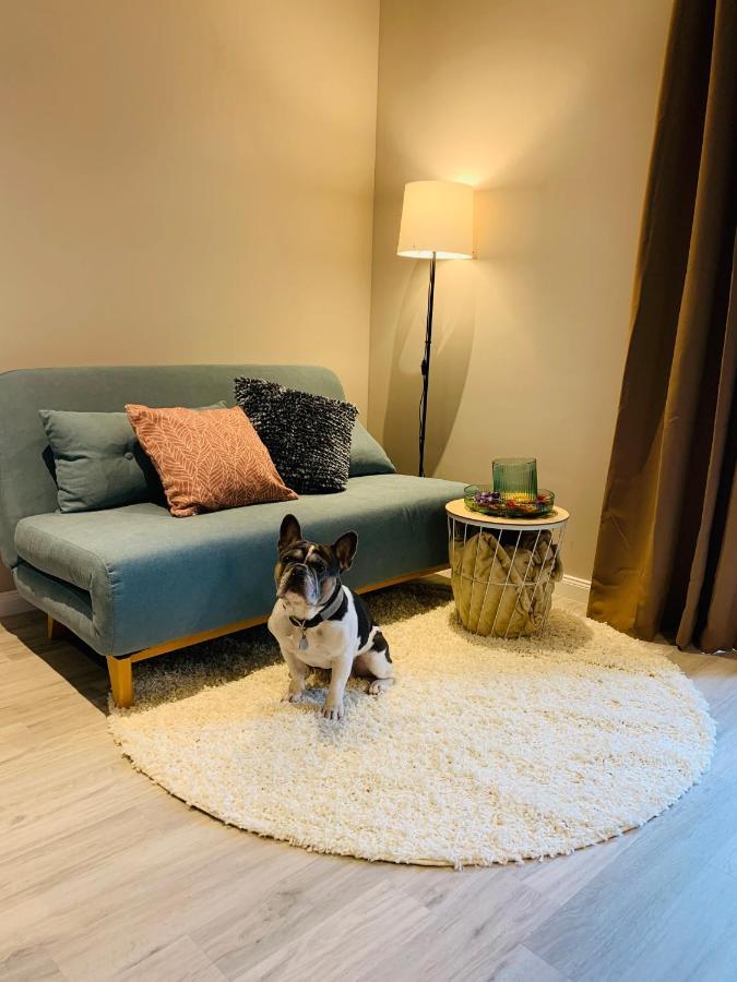 Anderswo Apartments Langenau Kültér fotó